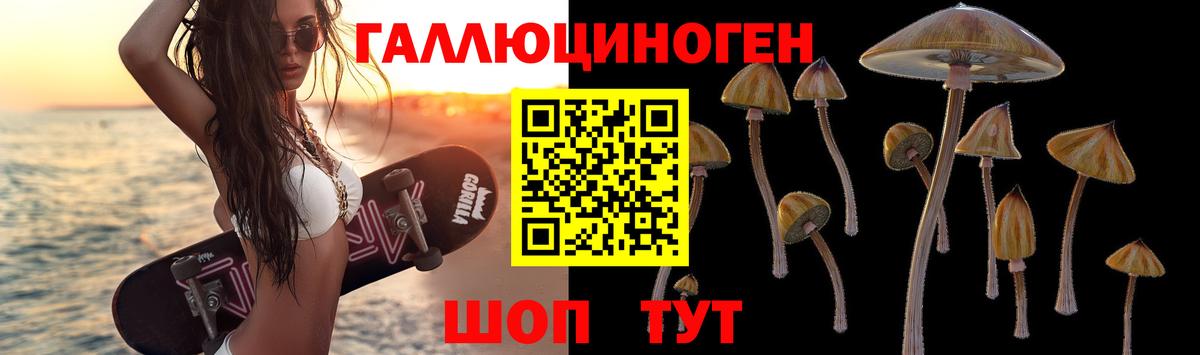Галлюциногенные грибы прущие грибы Кирово-Чепецк